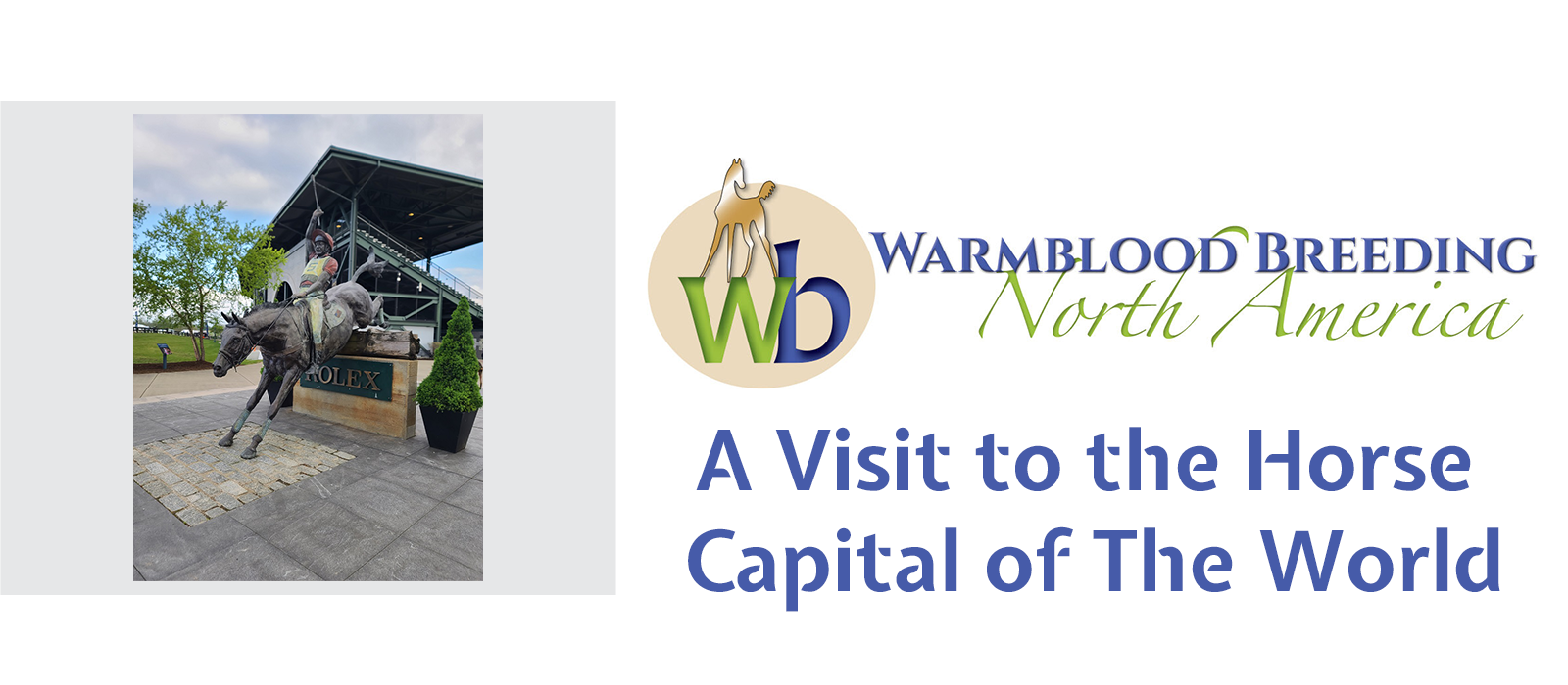 A Visit to the Horse Capital of the World Warmblood Breeding