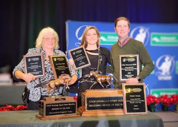 2024 USDF DSHB Highlights
